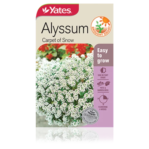 Alyssum carpet of snow Seeds