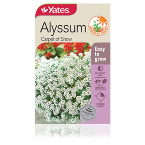 Alyssum carpet of snow Seeds