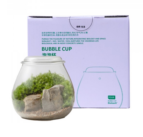 Bioloark Bubble Cup #4