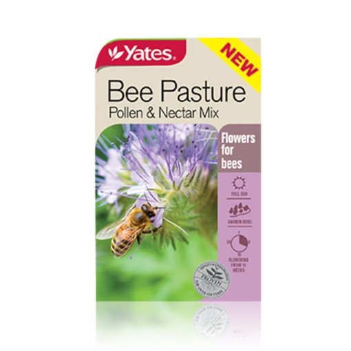 Bee Pasture Mix Seeds