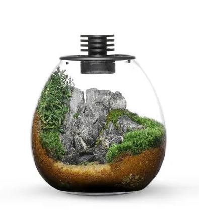 Bioloark 170 Nano Moss Rounded Wide Terrarium