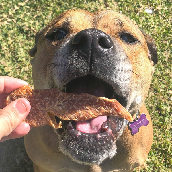 *Roast Chicken Dinner - Chicken Breast Jerky: 100g