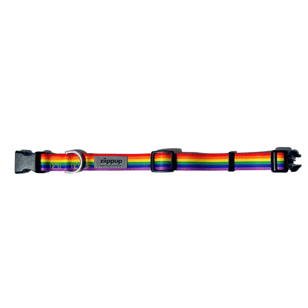 *Rainbow Recycled Dog Collar: Small