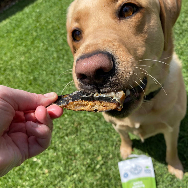 *Croc Crisps - Crocodile Chips - New