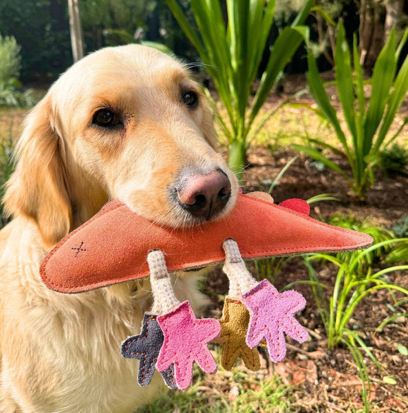 *Larry the Rainbow Lizard Dog Toy