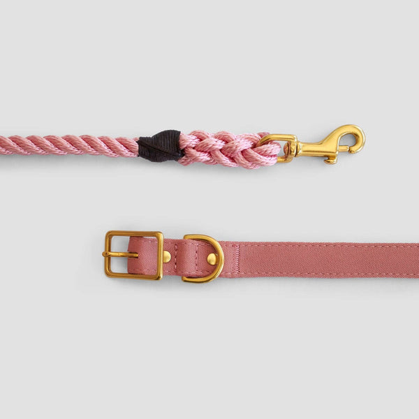 *Recycled Canvas Dog Collar - Dusty Pink: Large