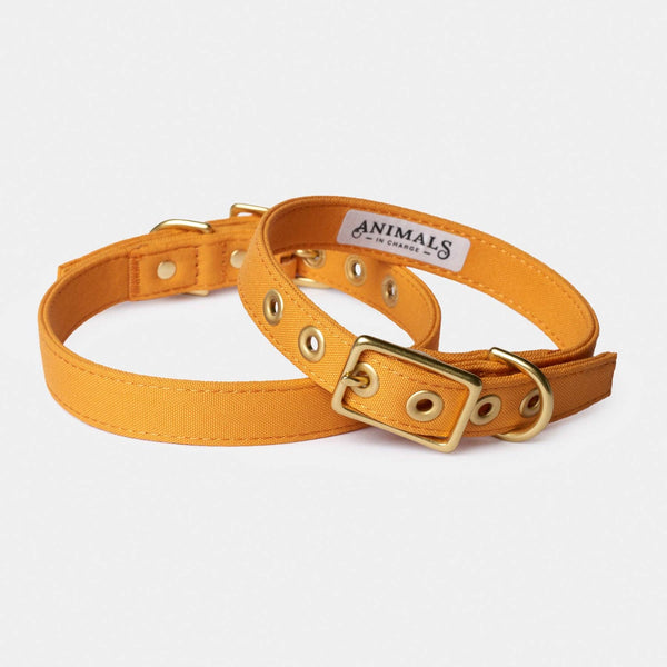 *Recycled Canvas Dog Collar - Harvest Yellow: Small