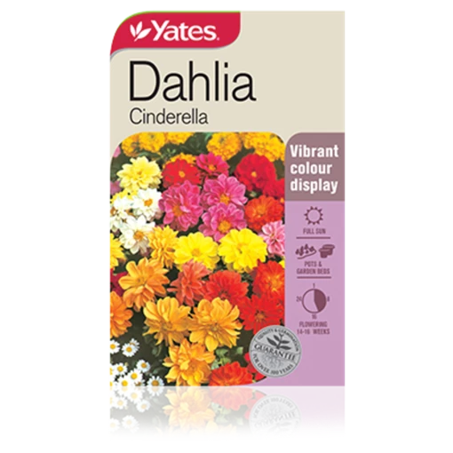 Dahlia Cinderella Seeds