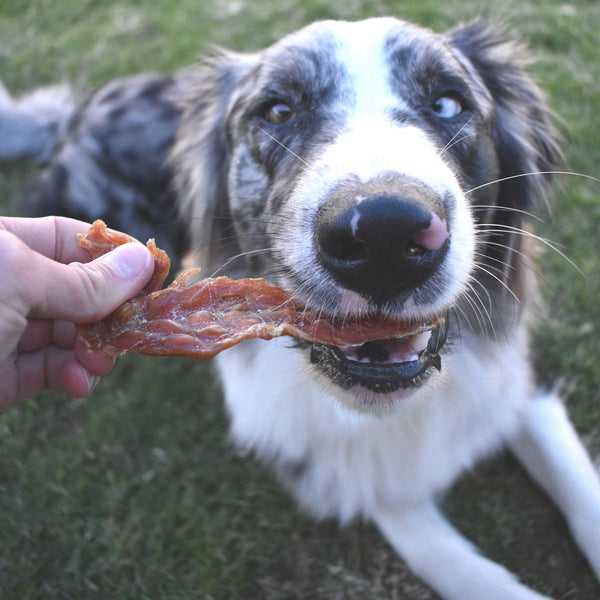*Roast Chicken Dinner - Chicken Breast Jerky: 100g