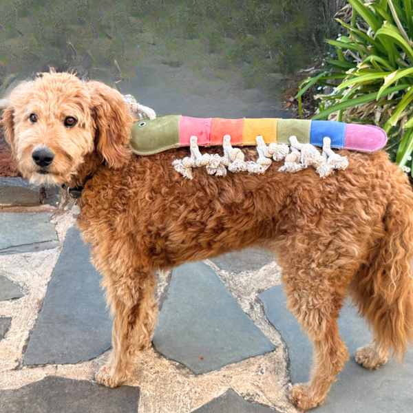 *Giant Rainbow Gerti for Giant Dogs