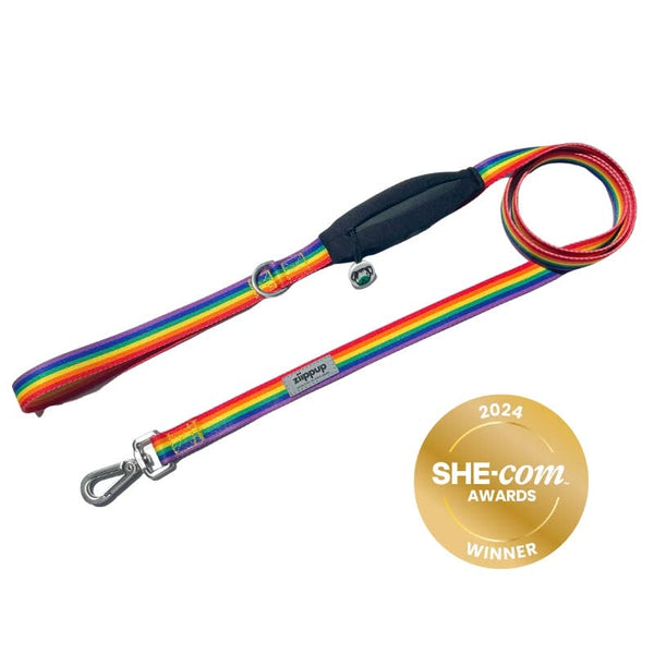 *Rainbow Dog Leash with Built-in Poop Bag Holder