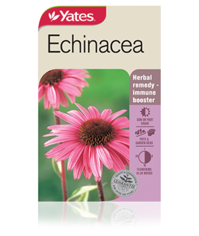 Echinacea Medicinal Seeds