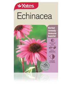 Echinacea Medicinal Seeds