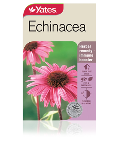 Echinacea Medicinal Seeds