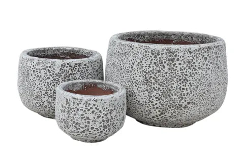 Gorgeia Squat Planter - White Coral