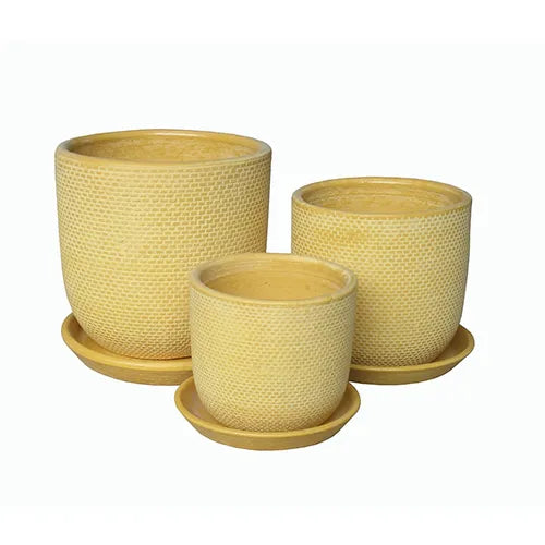 Soho Pots Mustard w/saucers