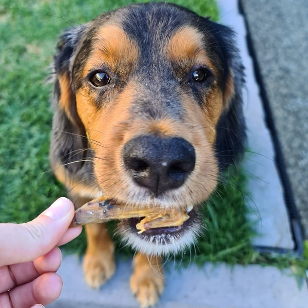 *Flap Ya Wings - Chicken Wing Bites: 100g