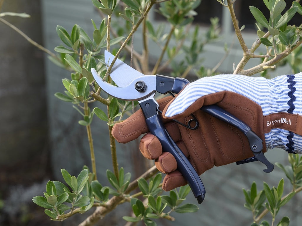 Burgon & Ball Collector Bypass Secateurs - Navy