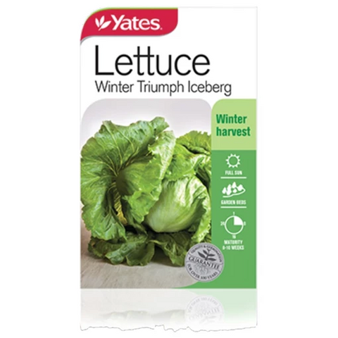 Lettuce Winter Triumph Seeds