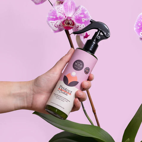 We The Wild Orchid Protect 150ml