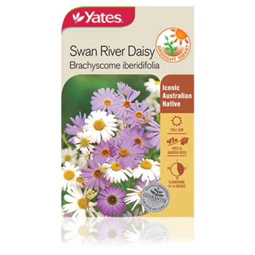 Swan River Daisy Seeds