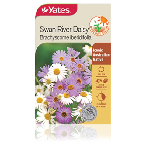 Swan River Daisy Seeds