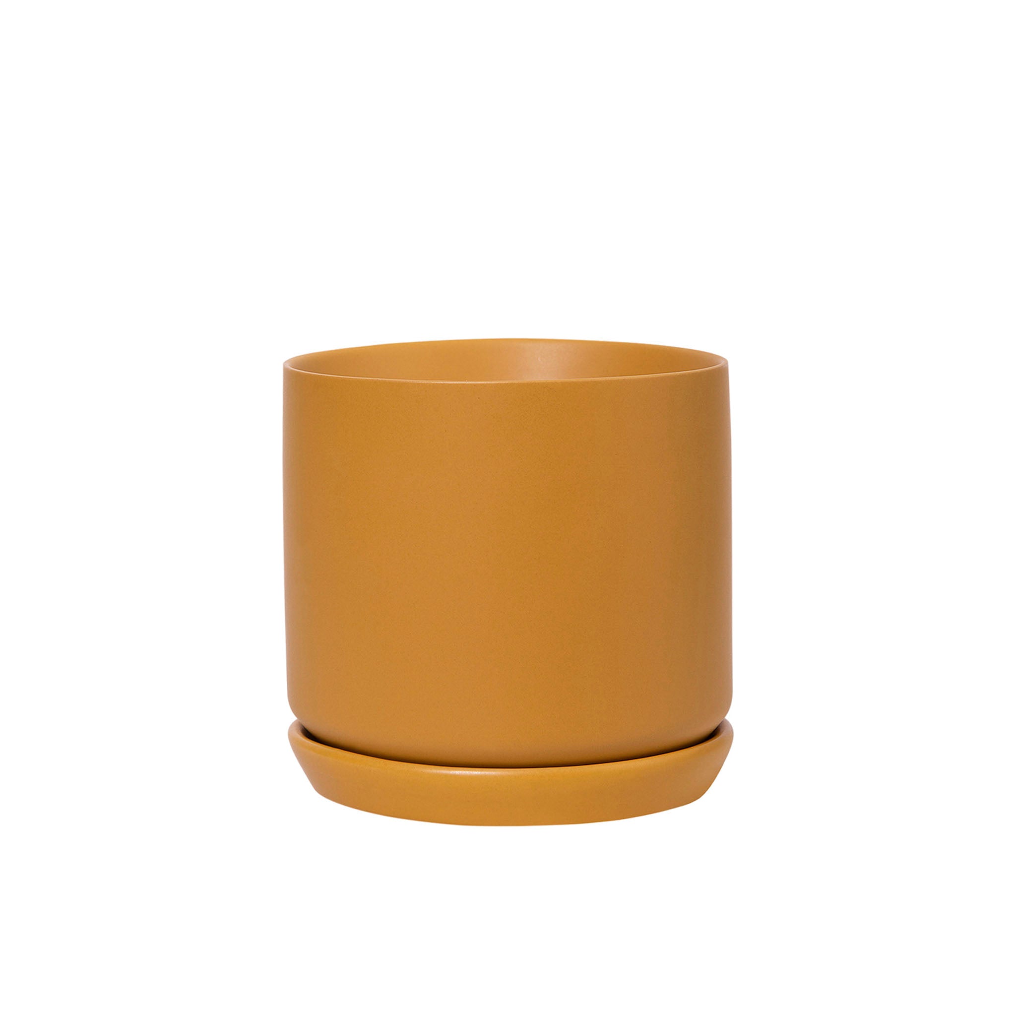 Oslo Planter Tobacco