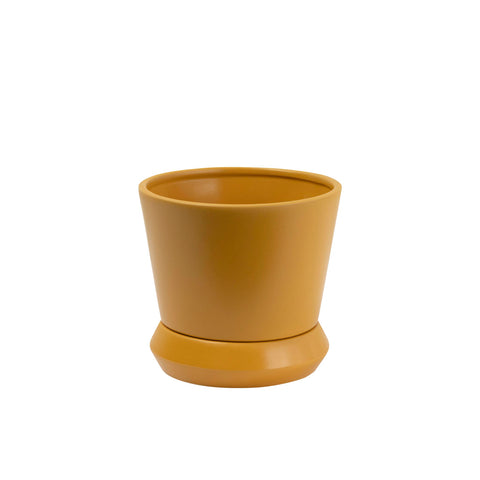 Hamburg Planter Tobacco Small