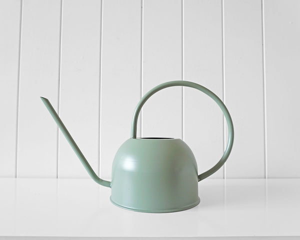 Dorothy Watering Can