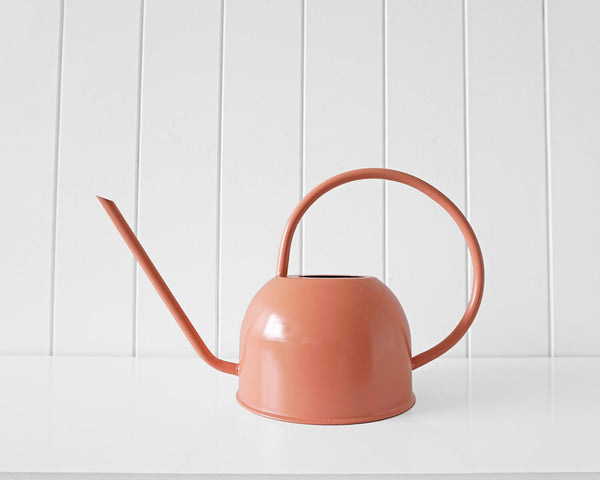 Dorothy Watering Can