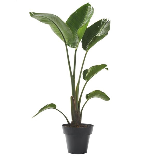 Big Indoor Plant Pot – Dig Emporium