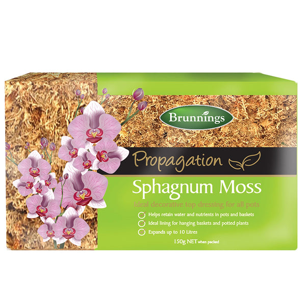 Brunnings Spaghnum Moss