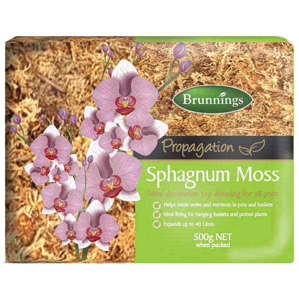 Brunnings Spaghnum Moss