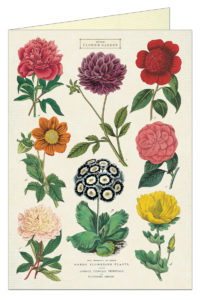 Cavallini Greeting Card - Botanica