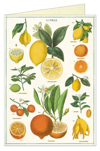 Cavallini Greeting Card - Citrus