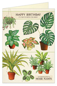 Cavallini Greeting Card - House Plants 