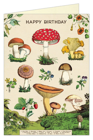 Cavallini Greeting Card - Happy Birthday Mushroom/Forage