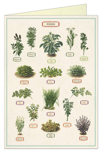 Cavallini Greeting Card - Herbs 