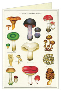 Cavallini Greeting Card - Mushrooms