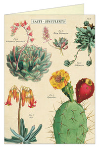 Cavallini Greeting Card - Cactus & Succulents 