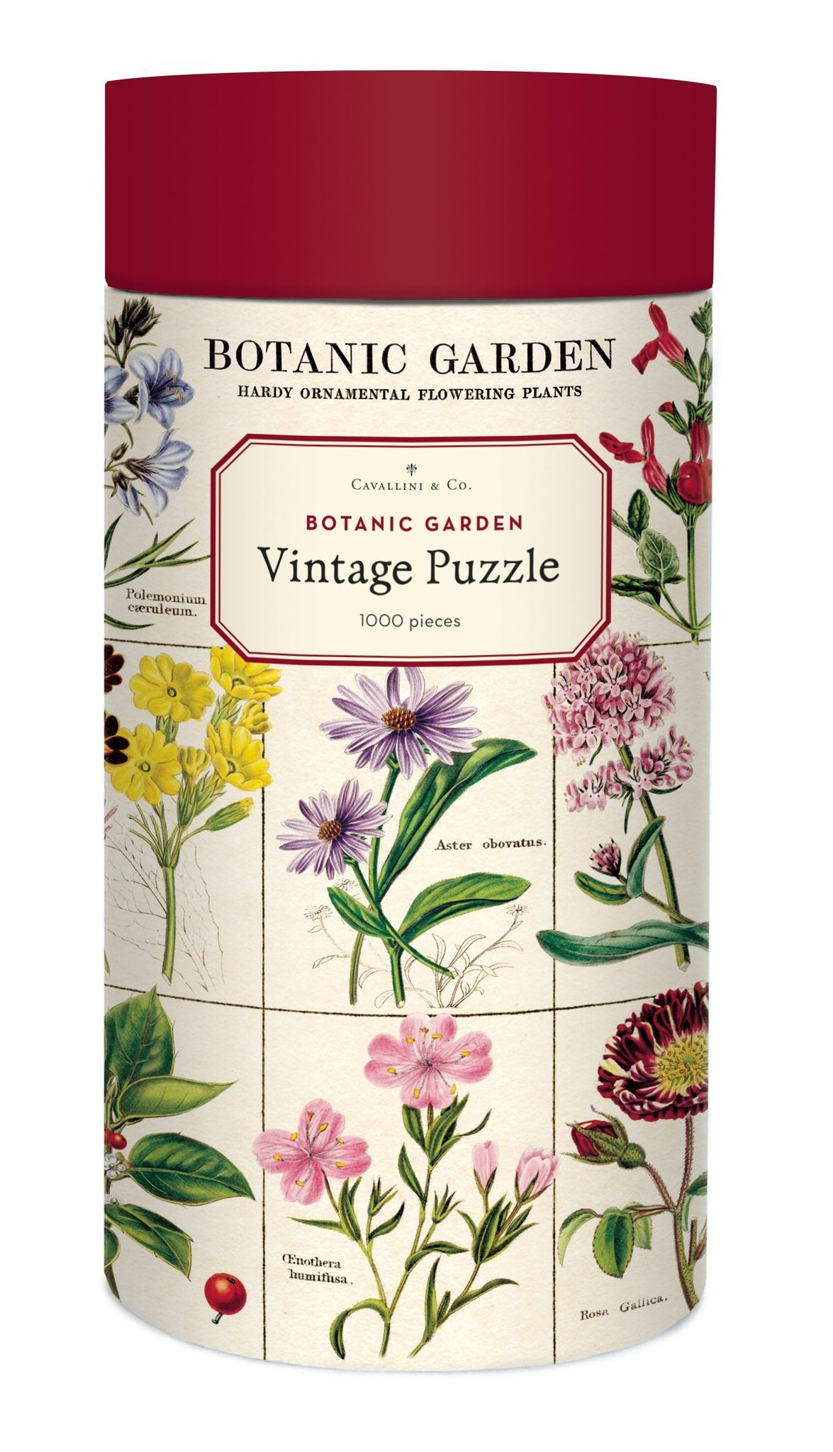 Cavallini 1000 Pc Puzzle - Botanic Garden 