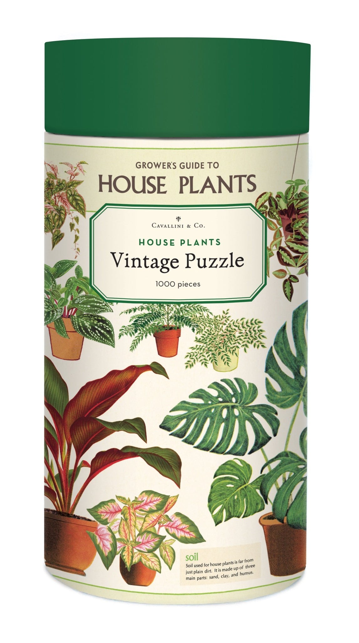 Cavallini 1000 Pc Puzzle - House Plants 