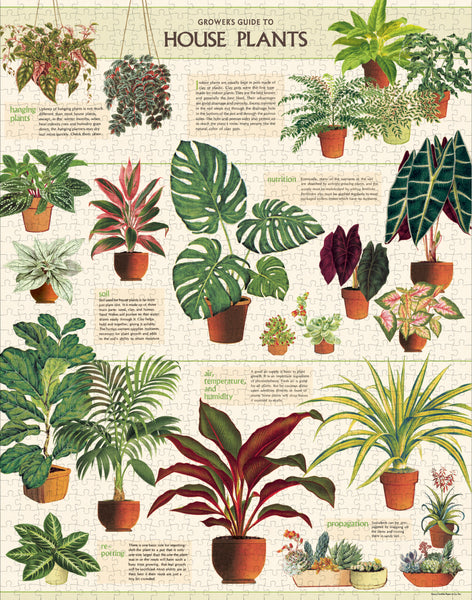 Cavallini 1000 Pc Puzzle - House Plants 