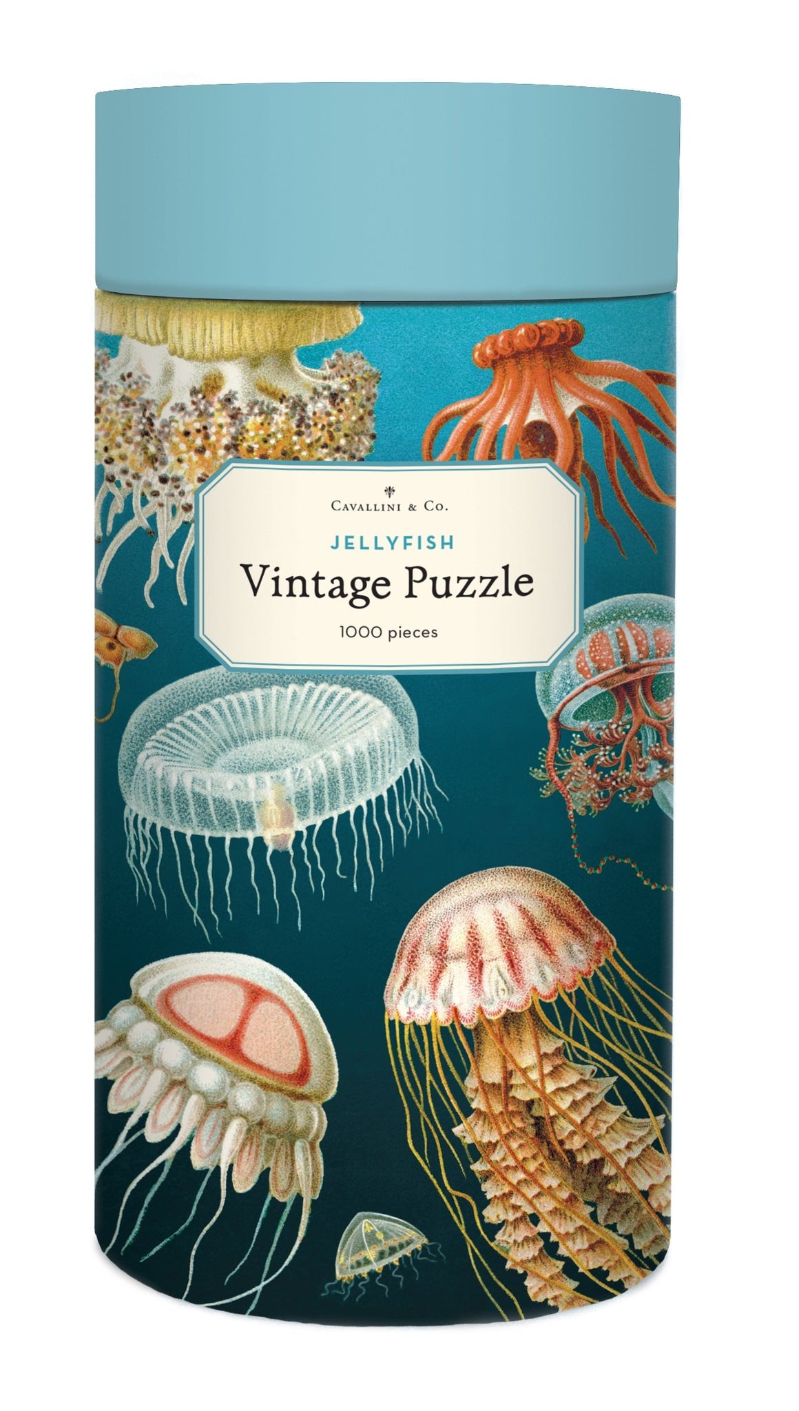 Cavallini 1000 Pc Puzzle - Jellyfish 