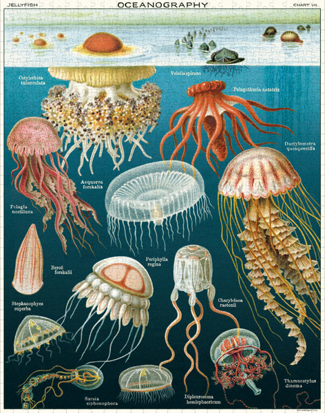 Cavallini 1000 Pc Puzzle - Jellyfish 