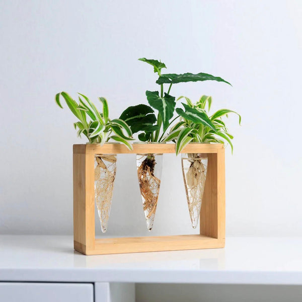 Cup O Flora Proppi 3-tube Propagation Station