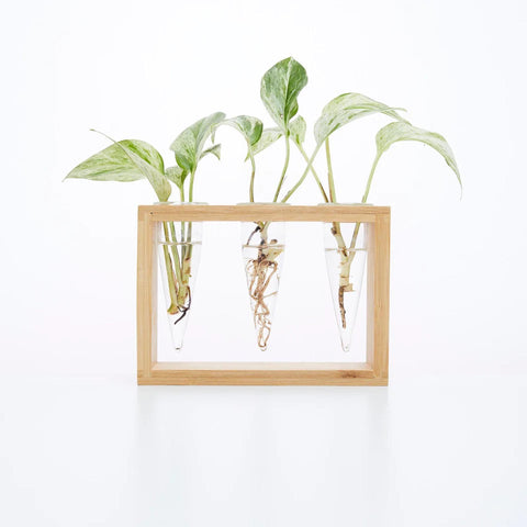 Cup O Flora Proppi 3-tube Propagation Station