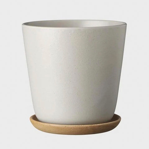 Bonnie Pot Fog