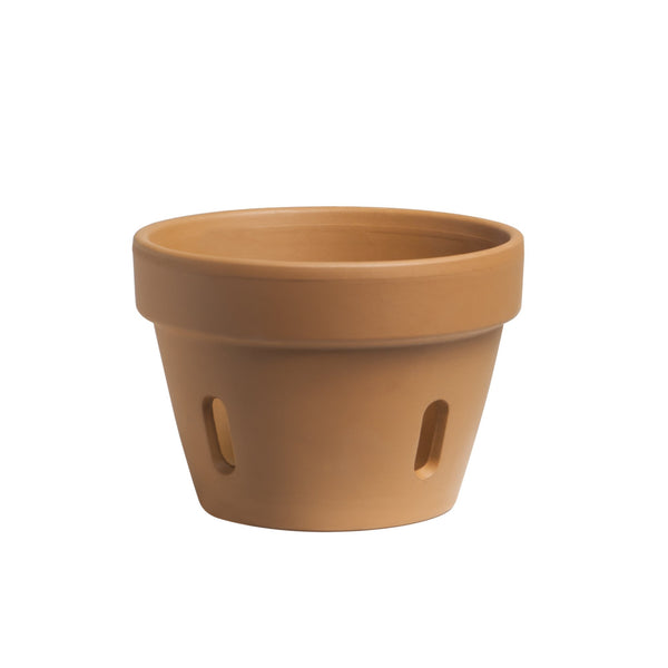 Italian Terracotta Orchid Pot