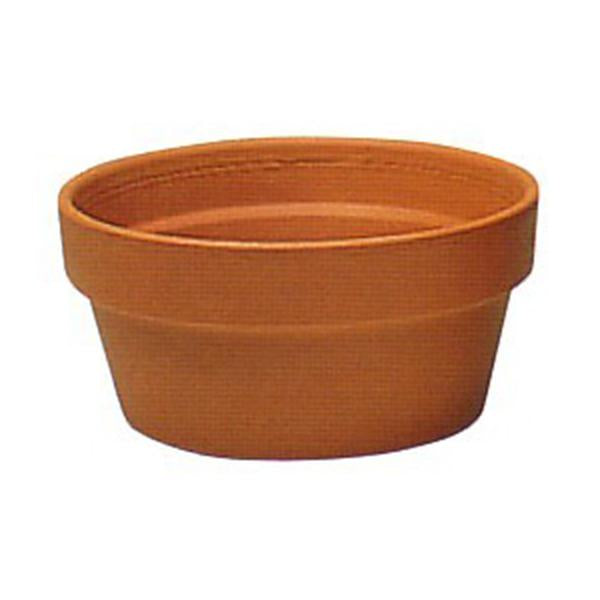 Italian Terracotta Super Bloomer Pot